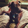 BearLee