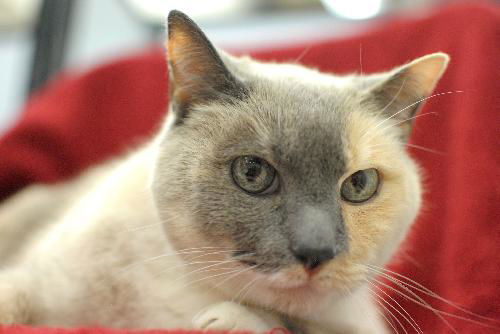 Sabrina
