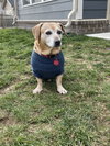 Henry (Forever Foster)