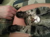 Littlest