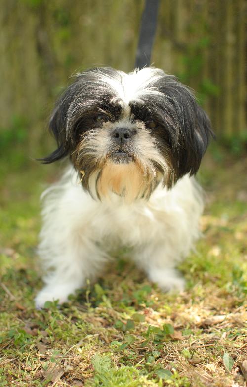 Maggie