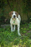 Buster
