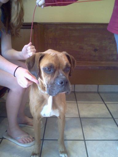 Otto