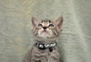 Little Bit