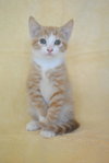 Malcolm