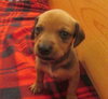Leroy Brown