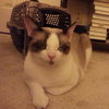Peanut