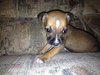 EmmyLou