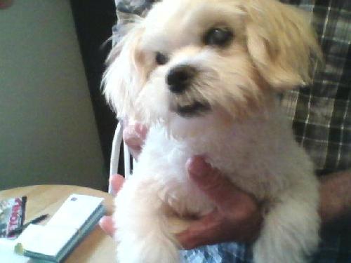Oliver