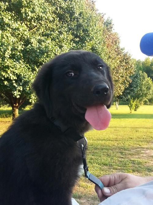 Romeo