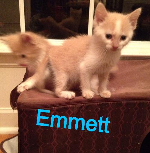 Emmett