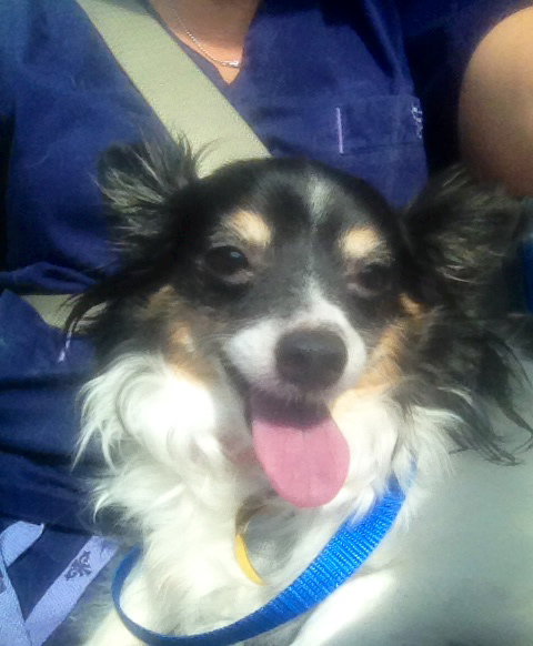Roxie