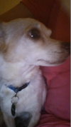 Maggie Moo