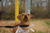 Thelma
