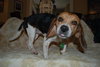 Maddie