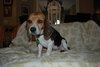 Maddie