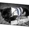 Dax