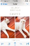 King Casper von Williamson