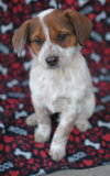 Tillie