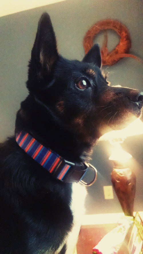 Charlie