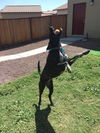 Tessie