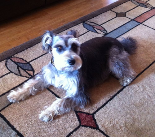 Bailey