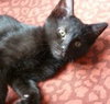 Onyx