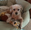 Keebler