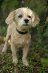 Keebler