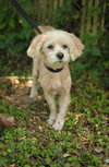 Keebler