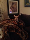 Beauregard