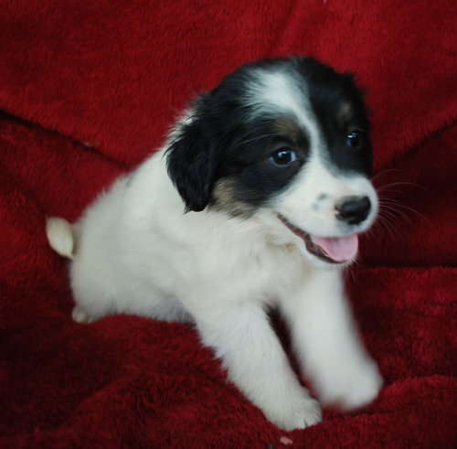 Chloe