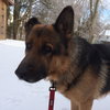 Charlie