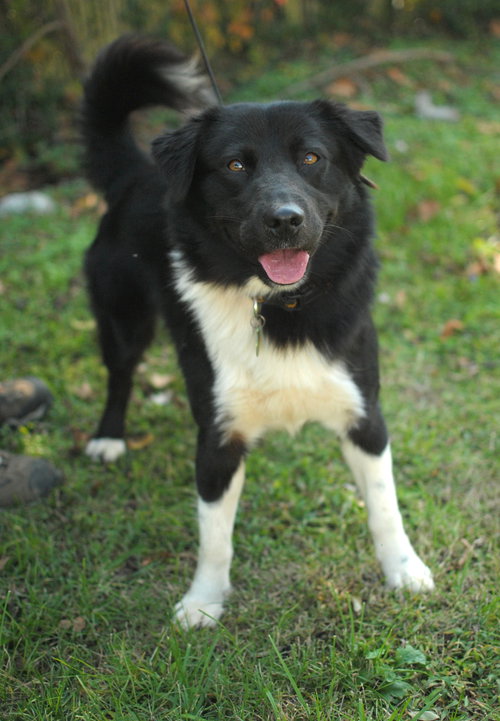 Patch