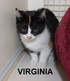 Virginia