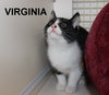 Virginia