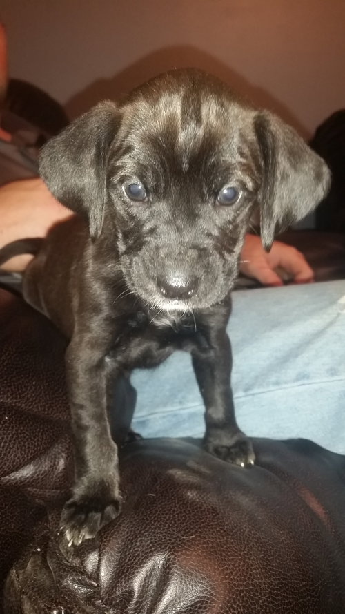 Tilly