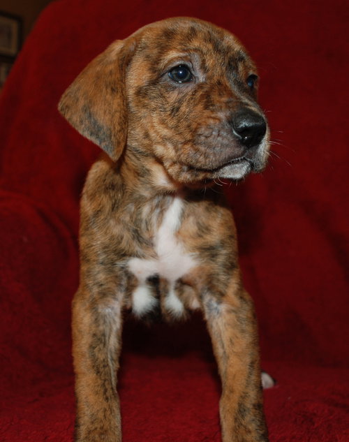 Winnie