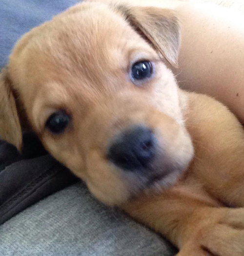 Rupert