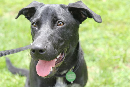 Marley