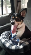 Sam