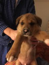 Tucker