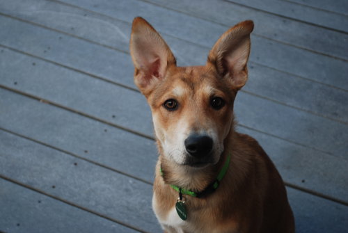 Maggie