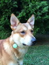 Maggie