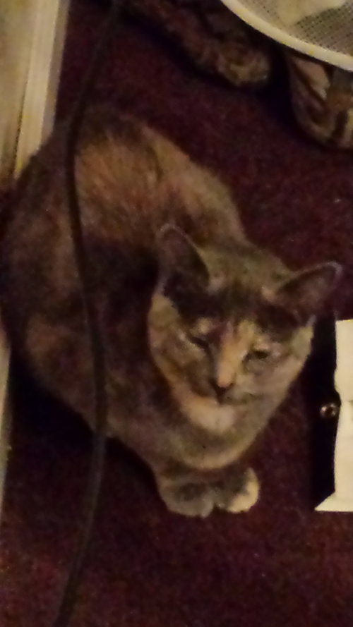 Lola