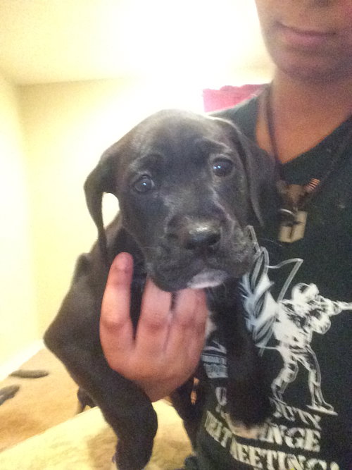 Molly