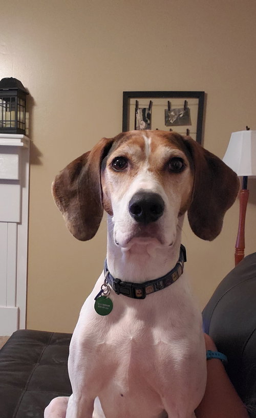 Darwin
