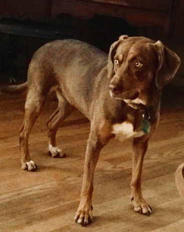 Sadie