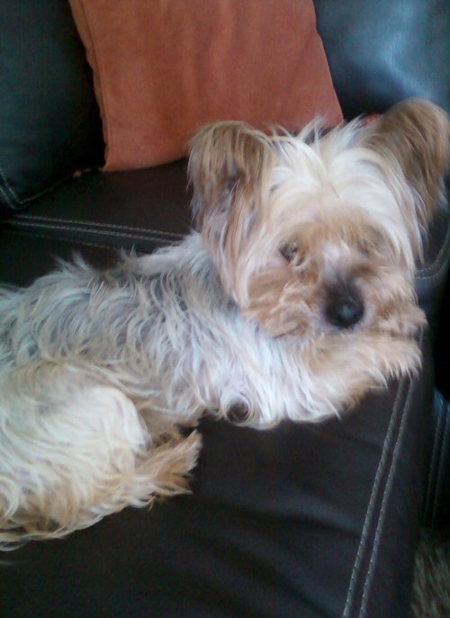 Winston