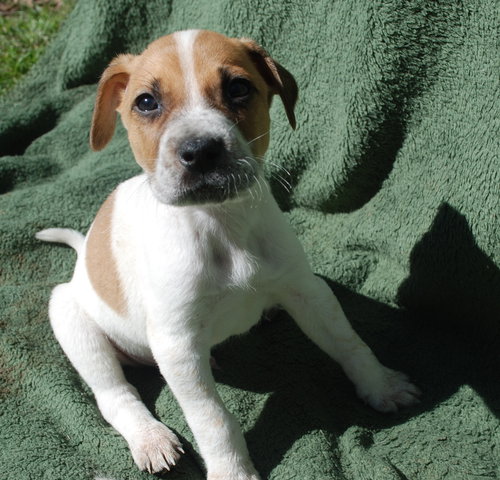 Tucker